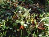 Dscf0289.jpg