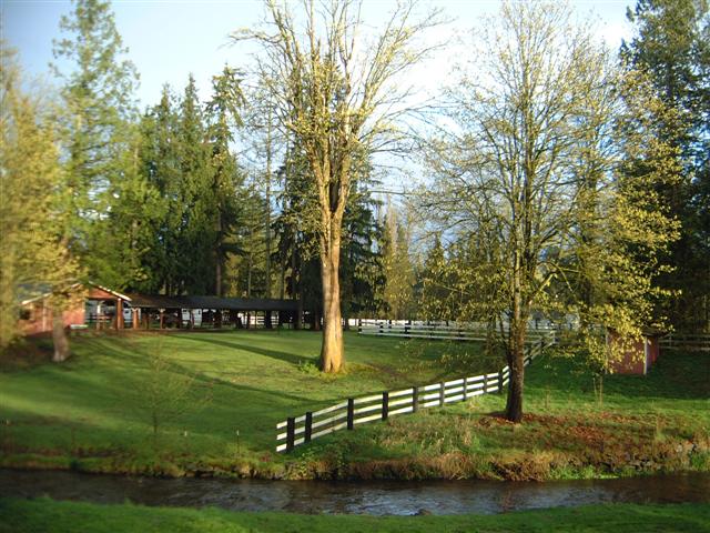 DSCF1528.JPG