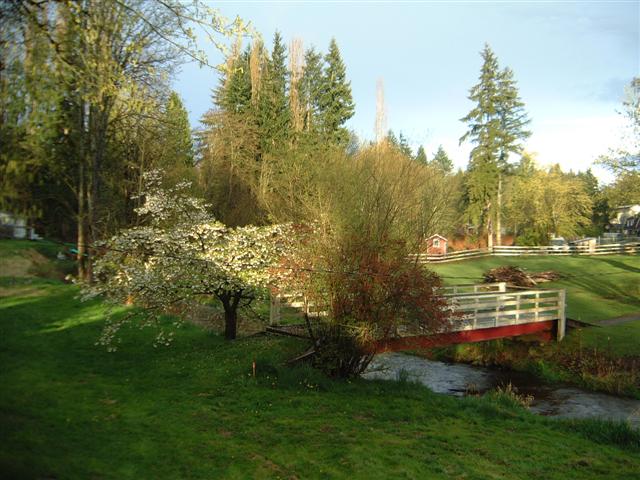 DSCF1530.JPG