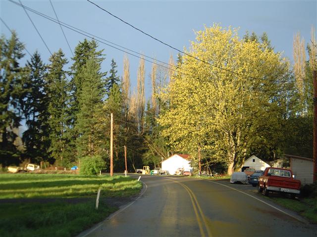 DSCF1533.JPG