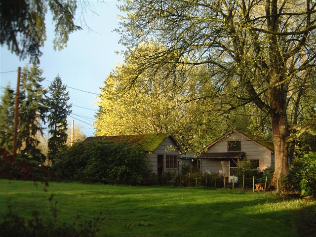 DSCF1535.JPG