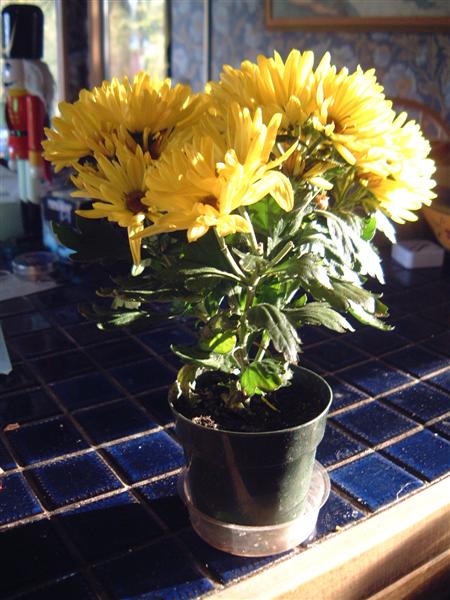 DSCF1543.JPG