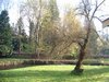 DSCF1526.JPG