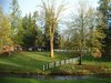 DSCF1528.JPG