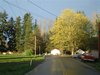 DSCF1533.JPG