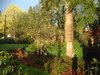 DSCF1534.JPG