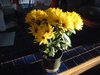DSCF1542.JPG