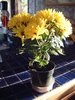 DSCF1543.JPG