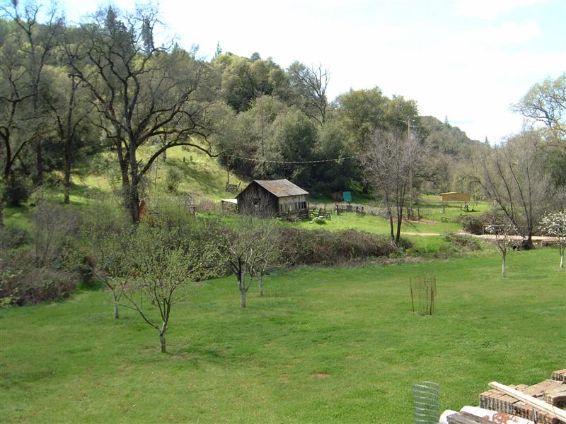 DSCF1426.JPG