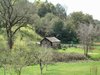 DSCF1427.JPG