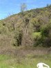 DSCF1478.JPG