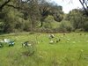 DSCF1480.JPG
