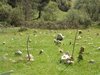 DSCF1481.JPG