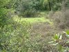DSCF1482.JPG