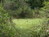 DSCF1483.JPG