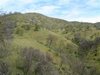 DSCF1487.JPG