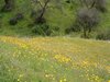 DSCF1494.JPG