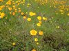 DSCF1495.JPG