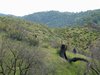 DSCF1498.JPG