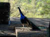 Dscf1004.jpg