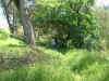 Dscf1023.jpg