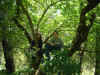 Dscf1025.jpg