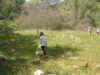 Dscf1034.jpg