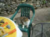 Dscf1043.jpg