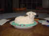 Dscf1061.jpg