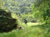 Dscf1083.jpg