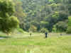 Dscf1095.jpg