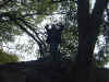 Dscf1105.jpg