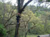 Dscf1127.jpg