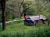 Dscf1161.jpg
