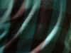 Dscf1170.jpg