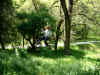 Dscf1196.jpg