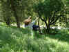 Dscf1214.jpg