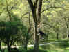 Dscf1217.jpg